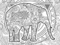 Elephant Illustration Black And White Animal Hand Drawn Doodle