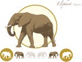 Elephant illustration logo
