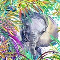 Elephant Illustration. Tropical Exotic Forest, Green Leaves, Wildlife, Elephant, Watercolor Illustration.