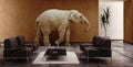 Elephant indoor