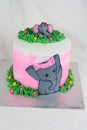 Elephant inspired cake with white background
