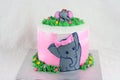 Elephant inspired cake with wjite background