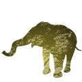 Elephant isolated Silhouette, natural green background. Vector