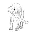 Elephant isolated on white background. Realistic Indian elephant with upturned trunk. Vector illustration