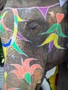 Elephant, Jaipur, India Royalty Free Stock Photo