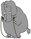Elephant With A Jump Rope
