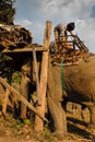 Elephant keeper dismantling seat attached to his elephant.. trekking in northern Thailand