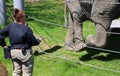 Elephant keeper with his animal for the take medical care and cleanning this big animal