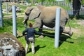 Elephant keeper with his animal for the take medical care and cleanning this big animal