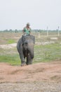 Elephant Keeper Way Kambas