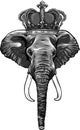 design of head elephant king animal artwork vector illustration