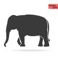 Elephant large cartoon mammal isolated on white. African bush or forest elephant and Asian elephant. Has large ears, concave back, Royalty Free Stock Photo