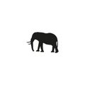 Elephant large cartoon mammal isolated on white. African bush or forest elephant and Asian elephant. Has large ears