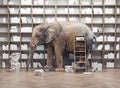 Elephant in the library