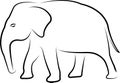 Elephant line art - vector