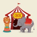 Elephant and lion circus show Royalty Free Stock Photo