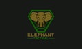 Elephant Logo. Elephant Tactical military logo design. Vector illustration of an elephant with military style