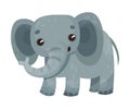 Elephant with Long Trunk as African Animal Vector Illustration Royalty Free Stock Photo