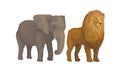 Elephant with Long Trunk and Lion with Mane as African Animal Vector Set