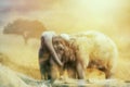 Elephant love in the sandstorm on the desert Royalty Free Stock Photo