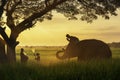 Elephant made merit a monks bowl. Young lovers and elephants are making merit. Thai people and elephant jointly give alm to monk Royalty Free Stock Photo