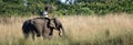 Elephant with Mahout