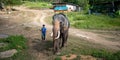 Elephant with mahout. elephant and mahout on nature background in thailand. elephant nursery where elephants ride tourists for