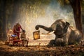 Elephant mahout portrait. Grandfather was cutting his nephew with an elephant holding a mirror. vintage style. The activities at