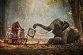 Elephant mahout portrait. Grandfather was cutting his nephew with an elephant holding a mirror. vintage style. The activities at Royalty Free Stock Photo