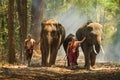 Elephant mahout portrait. An old elephant was carrying an elephant in the forest. The Kuy Kui People of Thailand. The mahout and
