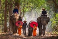 Elephant mahout portrait. Elephant Ritual Making or Wild Elephant Catching. The mahout and the elephant at surin, Thailand