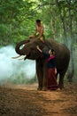 The elephant and mahout with woman