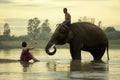 Elephant Mahout women and men are taking a bath in the river during the sunset