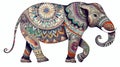 Elephant with mandala ornament. Asian elephant coloring book animal Royalty Free Stock Photo