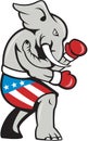 Elephant Mascot Boxer Boxing Side Cartoon