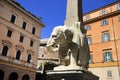 Elephant from Minerva Square in Rome, Italy Royalty Free Stock Photo