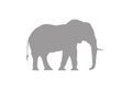 Elephant minimal vector illustration