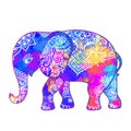Elephant Ornate Art. Vector Illustration Animal.