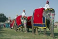 Elephant Parade Royalty Free Stock Photo