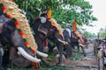 Elephant Parade in Varkala, India