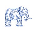 Elephant pixel art. 8bit Animal vector. 8 bit Old video game graphics
