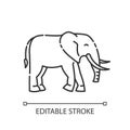 Elephant pixel perfect linear icon