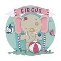 Elephant playing ball in the circus. With Bird, butterfly illustration Royalty Free Stock Photo