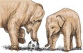 Elephant playing football sketch free hand draw illustration