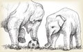 Elephant playing football, sketch free hand draw illustration