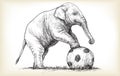 Elephant playing football, sketch free hand draw illustration
