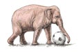 Elephant playing football, sketch free hand draw illustration