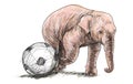 Elephant playing football, sketch free hand draw illustration