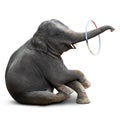 Elephant playing hulahoop Royalty Free Stock Photo