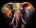 The elephant is pnting on the black. Royalty Free Stock Photo